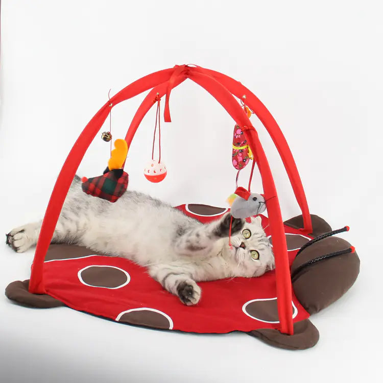 Exercise Game Tent for Interactive Fun