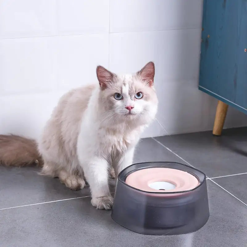 Splash-proof drinking Bowl