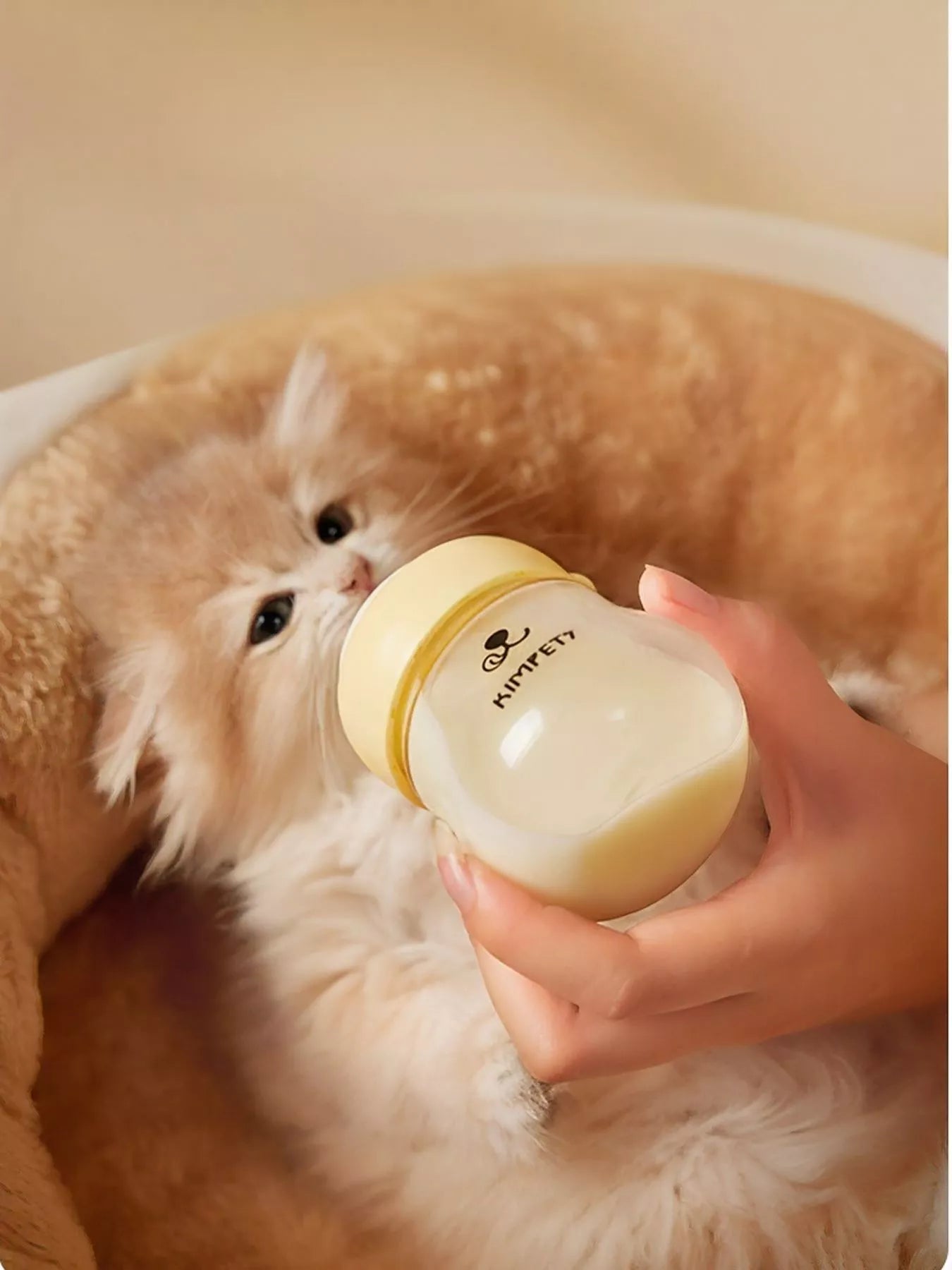 65a46859-5f00-48e9-9d64-6091df388142-Max-Origin