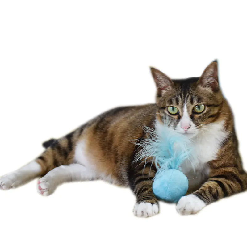 Sounding Catnip Ball Toy with Bell and Feather