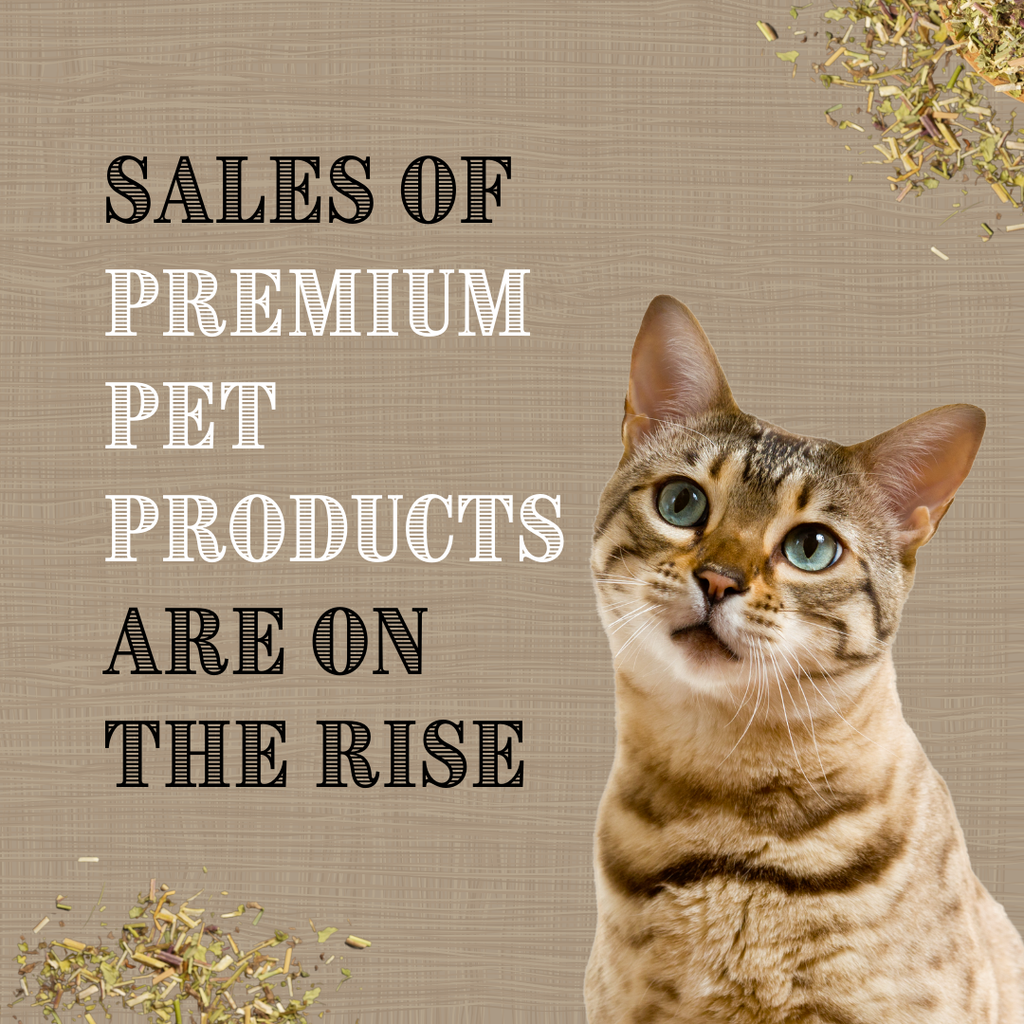 Catnip and Silver Vine Kickers