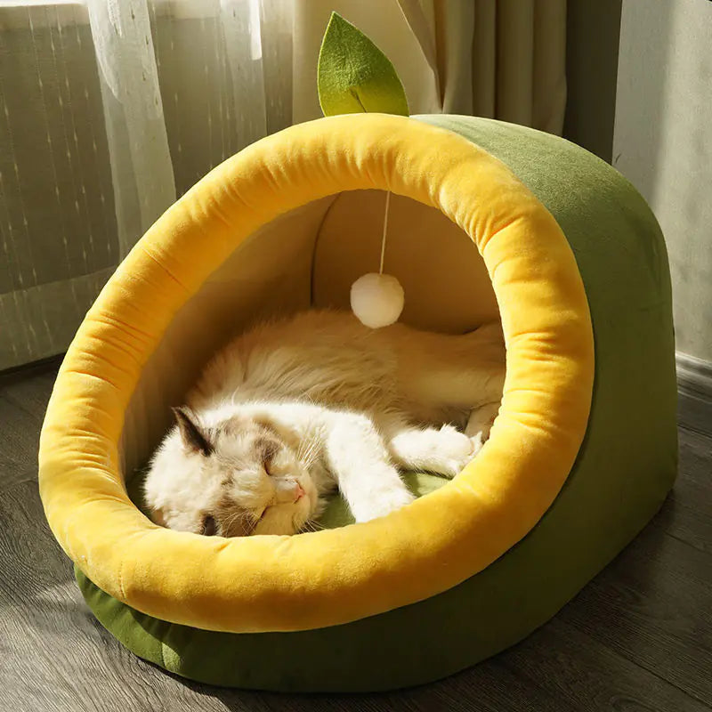 Cat Bed for All Seasons