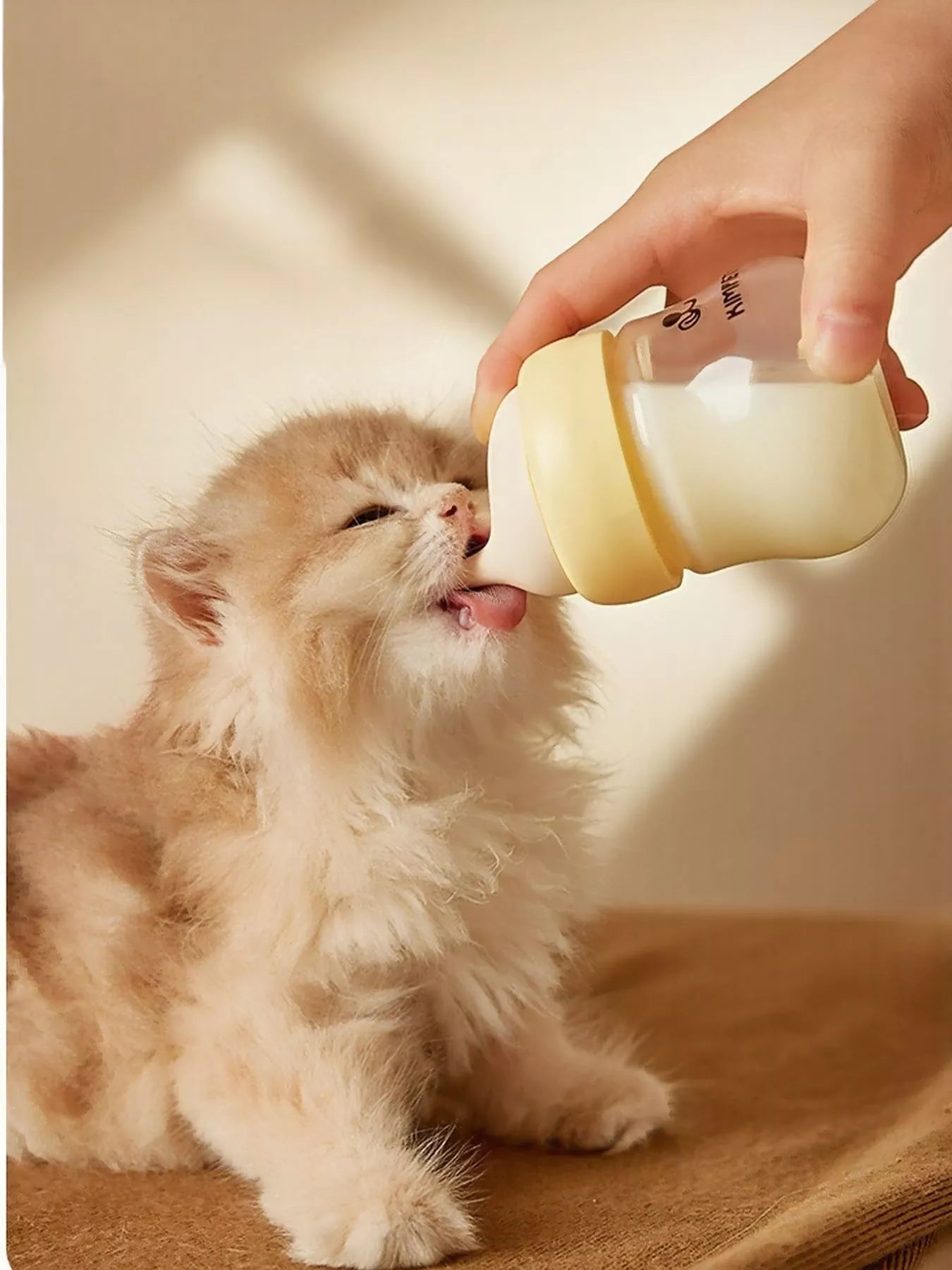 baa8fbe0-1f45-4b13-8366-27310ae40856-Max-Origin