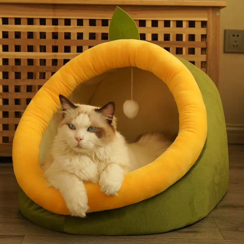 Cat Bed for All Seasons