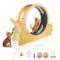 Cat Exercise Wheel for Indoor Cats - Feline the Love