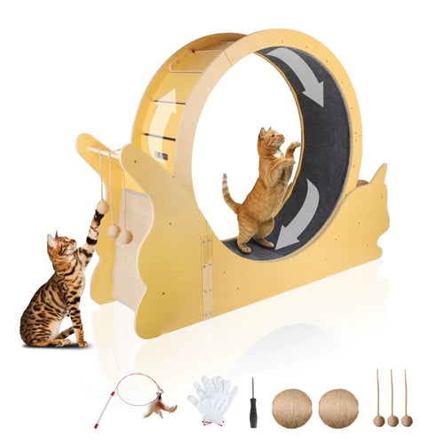 Cat Exercise Wheel for Indoor Cats - Feline the Love