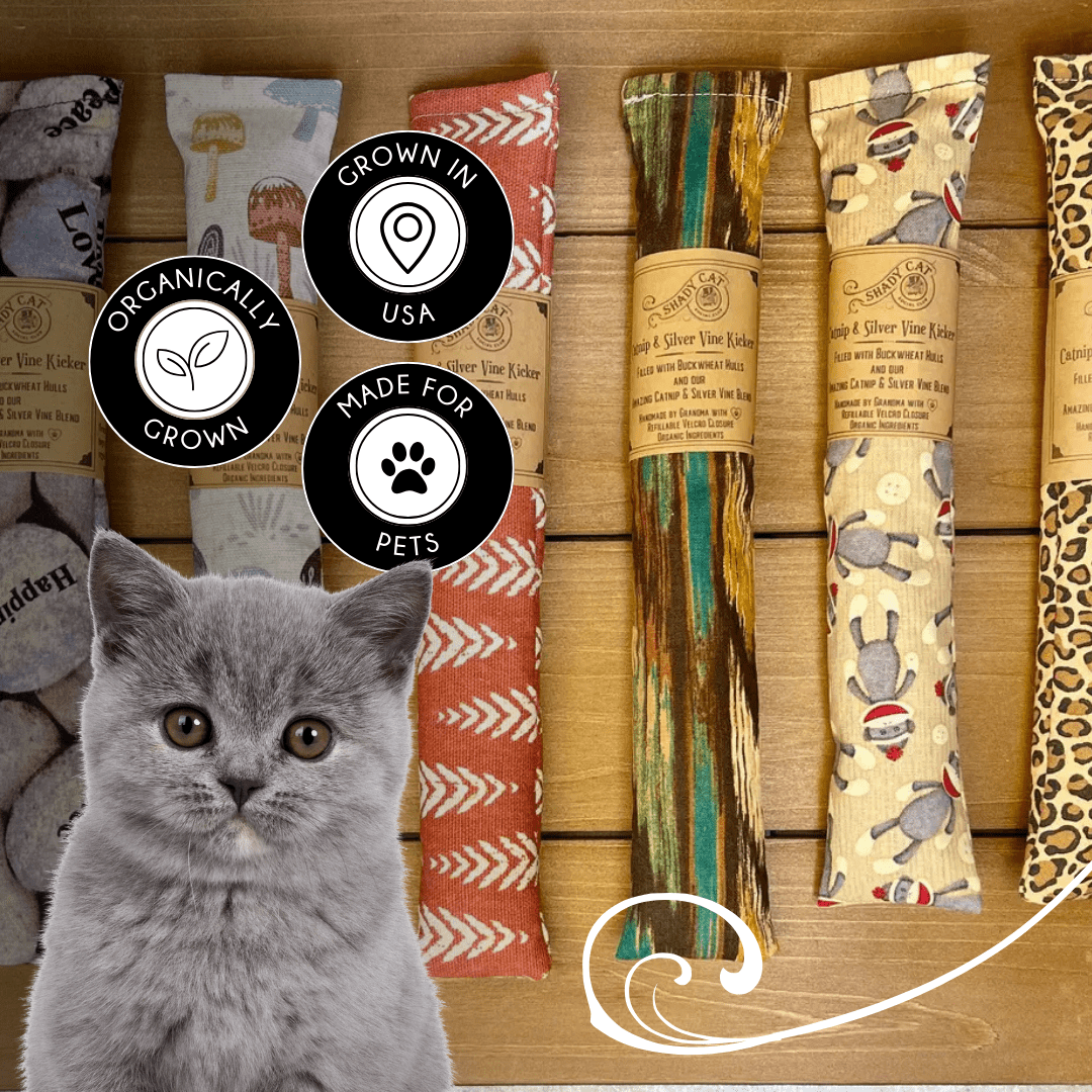 Catnip and Silver Vine Kickers - Feline the Love