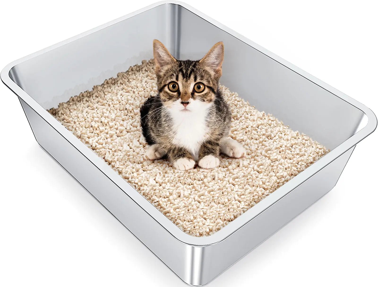 Stainless Steel cat Litter Box - Feline the Love